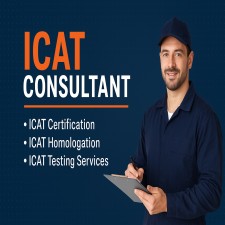 ICAT Consultant